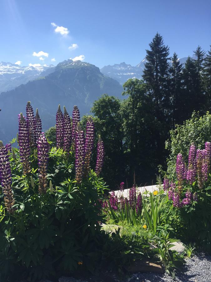 Hotel&Restaurant Stadthof Glarus Exterior foto