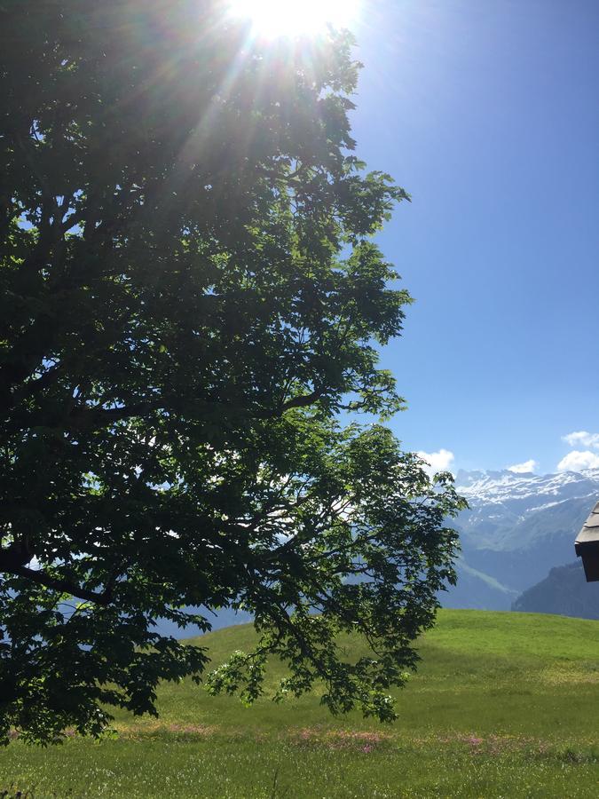 Hotel&Restaurant Stadthof Glarus Exterior foto